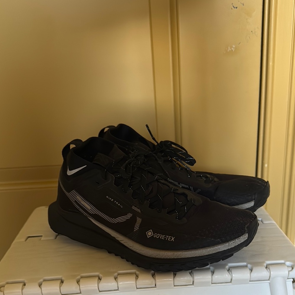 NIKE Pegasus Trail 4
